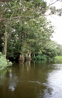 Los Guatuzos Wildlife Refuge