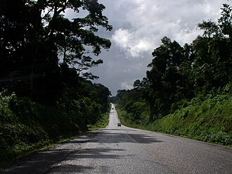 Mabira Forest