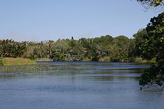 Kosi Bay