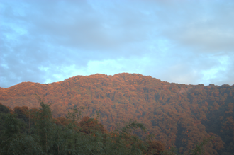 Neora Valley National Park