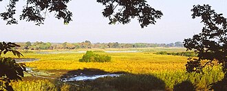 Kasanka National Park